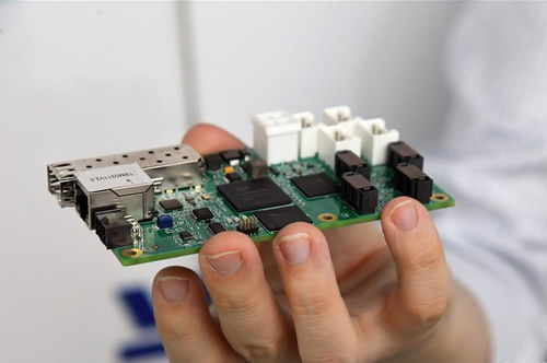 北京城市副中心東南生態門戶景觀正式開放，智慧化信息系統集成服務提升游園體驗